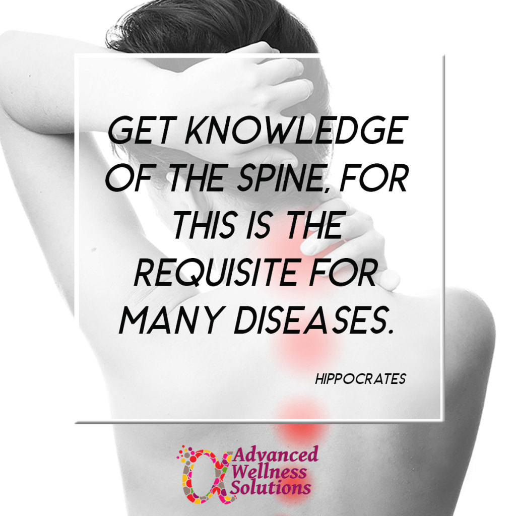 get knowledge of the spine