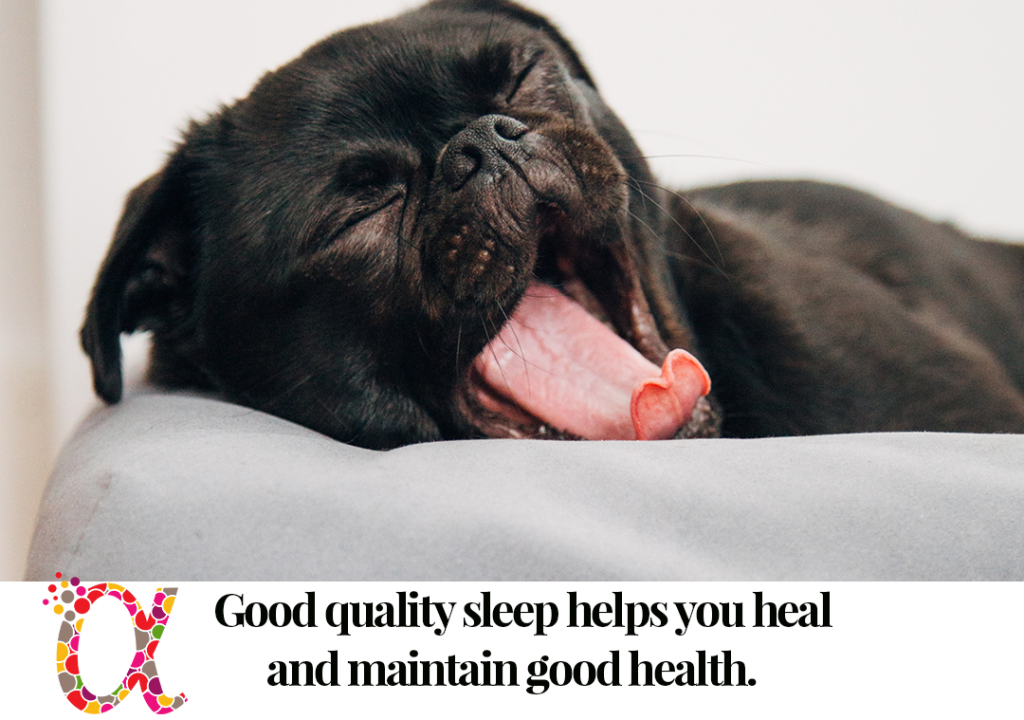 Sleep is Important for Health