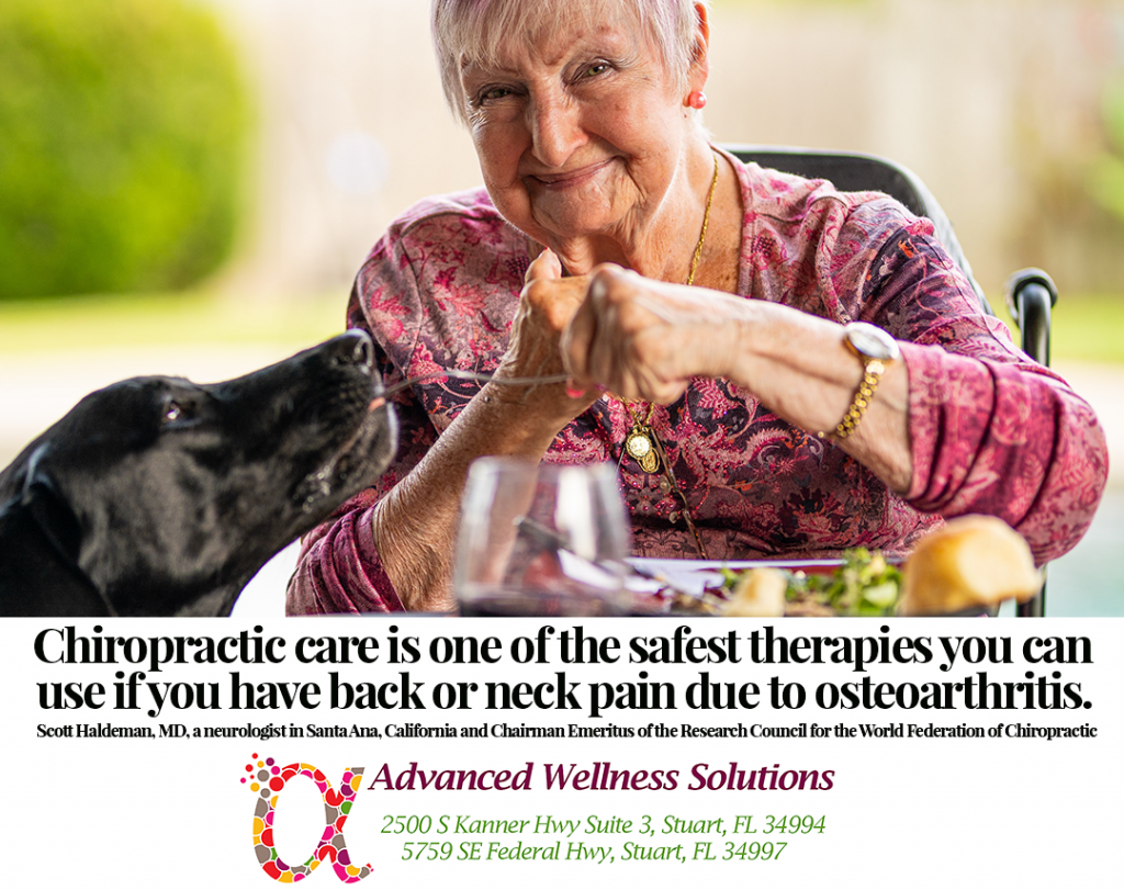 Chiropractic care is one of the safest therapies you can use if you have back or neck pain due to osteoarthritis. Quote Scott Haldeman, MD, a neurologist in Santa Ana, California and Chairman Emeritus of the Research Council for the World Federation of Chiropractic