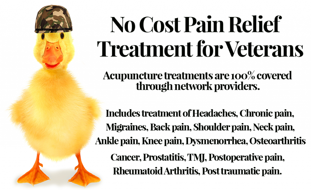 No cost acupuncture for US Veterans